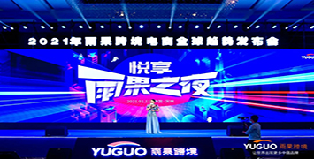 荣获“2020年度最佳跨境软件营销”称号